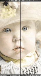 portrait information